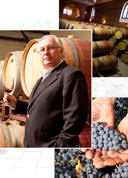 葡萄酒,進口紅酒,高檔紅酒